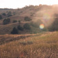 Golden hour at Badlands National Park