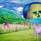 Young cows in a field with rising moon. Veal.